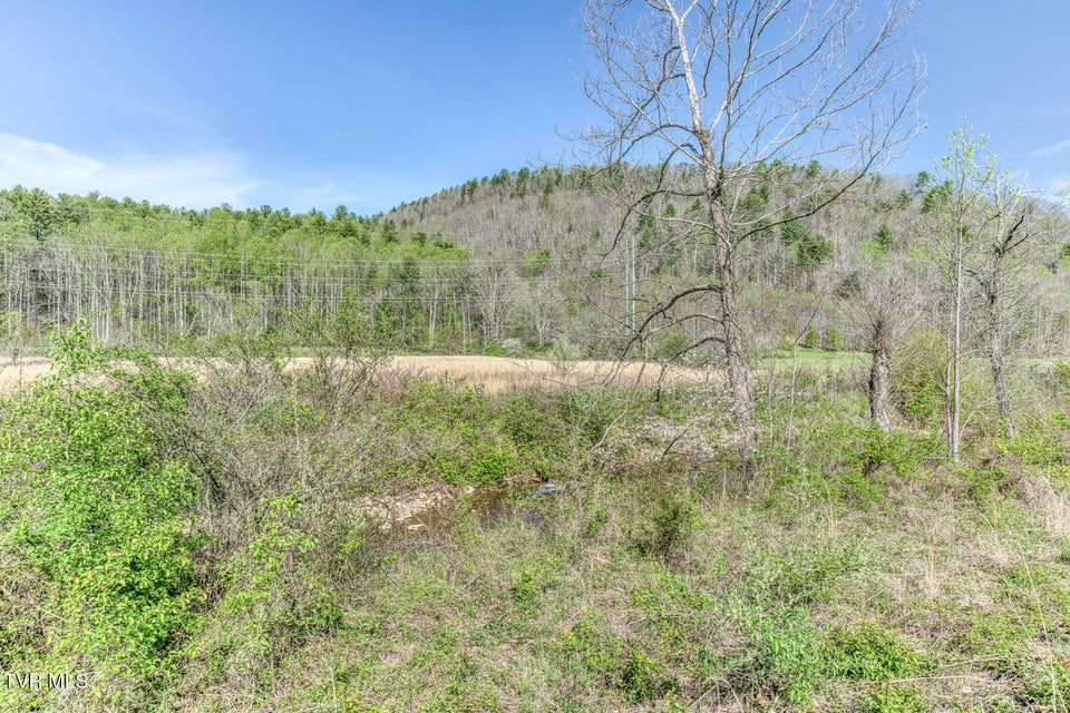 Photo #19: 00 Shady Street