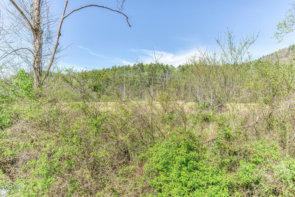 Photo #22: 00 Shady Street