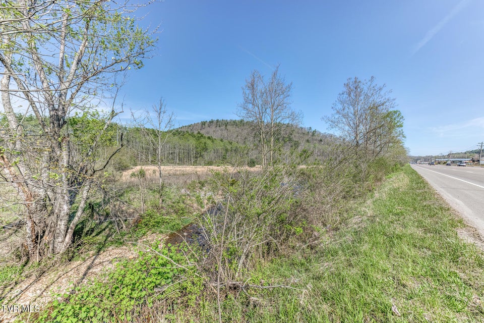 Photo #25: 00 Shady Street