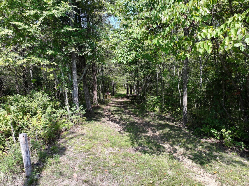 Photo #55: 1005 Jackson Hollow Road