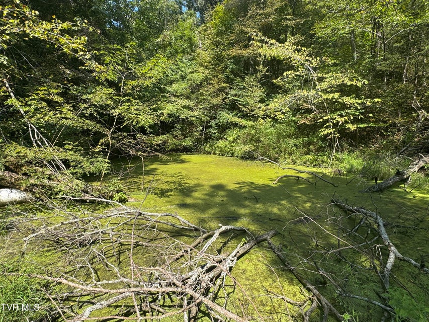 Photo #60: 1005 Jackson Hollow Road