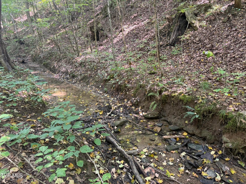 Photo #61: 1005 Jackson Hollow Road