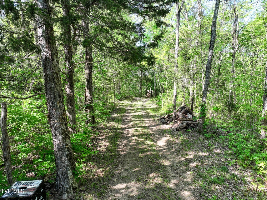 Photo #69: 1005 Jackson Hollow Road