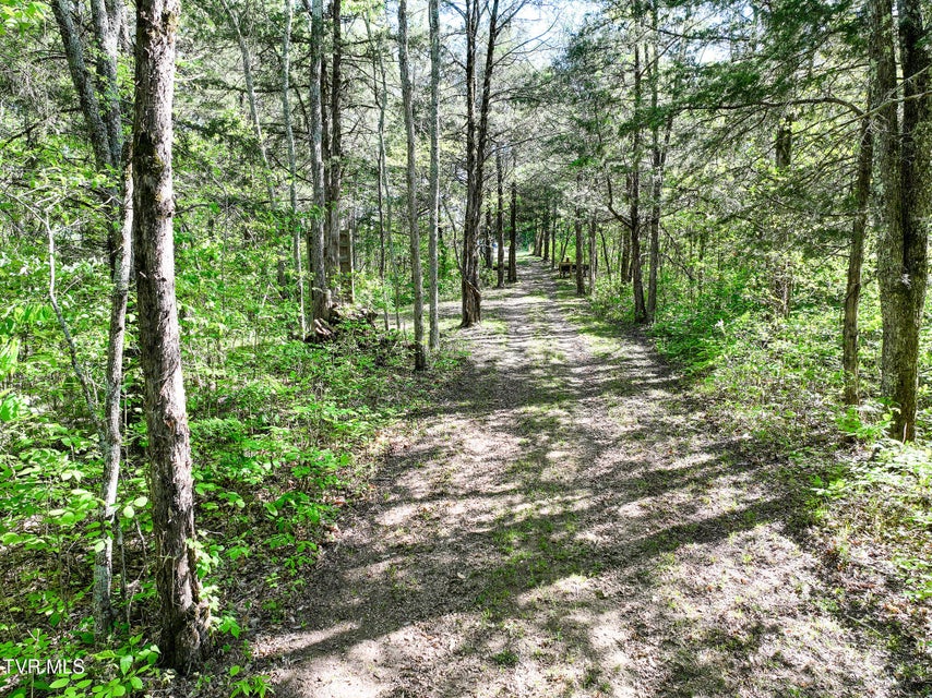 Photo #70: 1005 Jackson Hollow Road