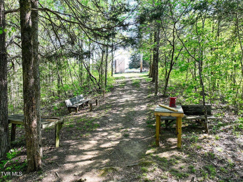 Photo #71: 1005 Jackson Hollow Road