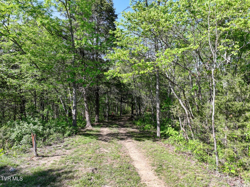 Photo #72: 1005 Jackson Hollow Road