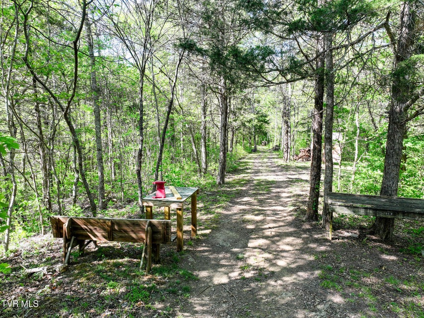 Photo #73: 1005 Jackson Hollow Road