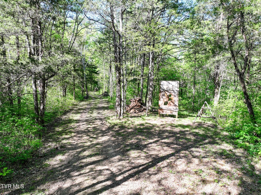 Photo #74: 1005 Jackson Hollow Road