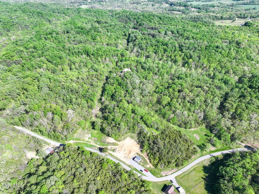 Photo #76: 1005 Jackson Hollow Road