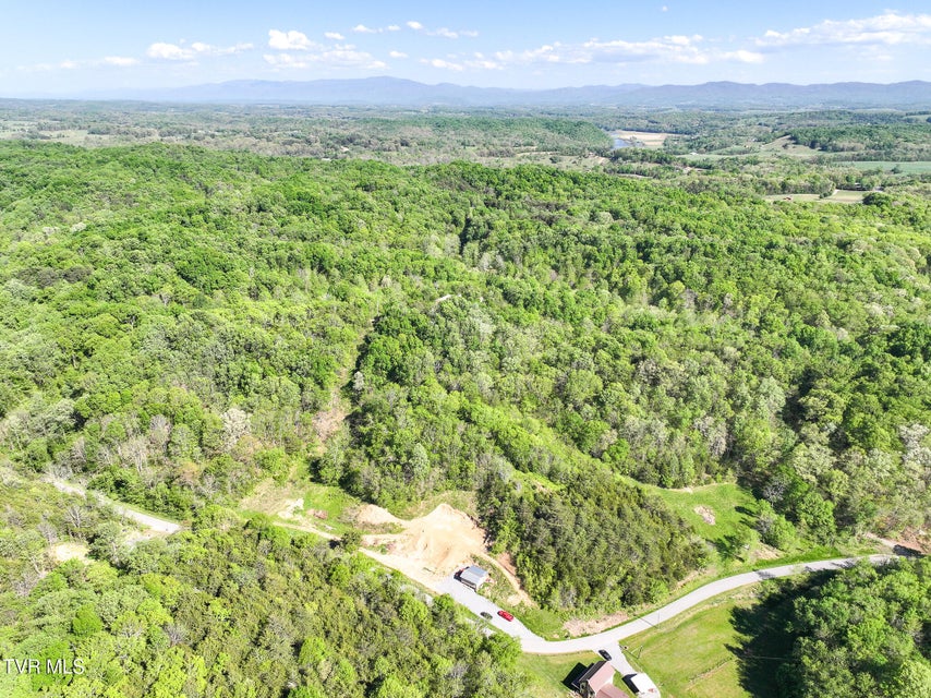 Photo #77: 1005 Jackson Hollow Road