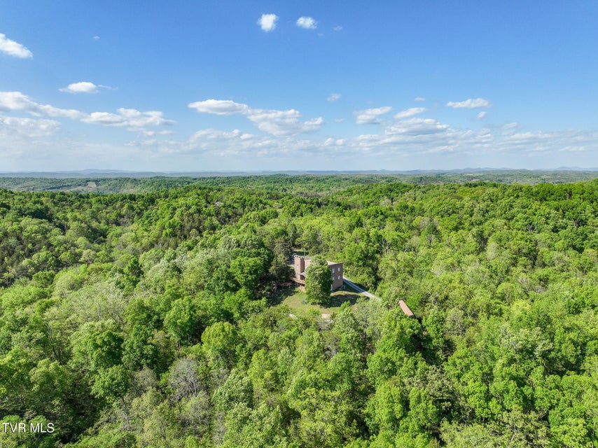 Photo #78: 1005 Jackson Hollow Road