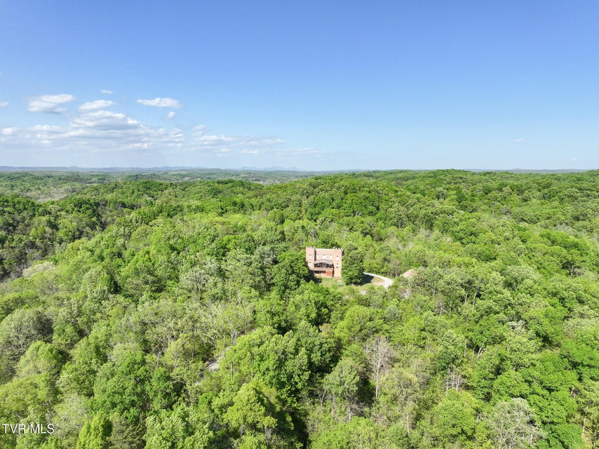 Photo #79: 1005 Jackson Hollow Road