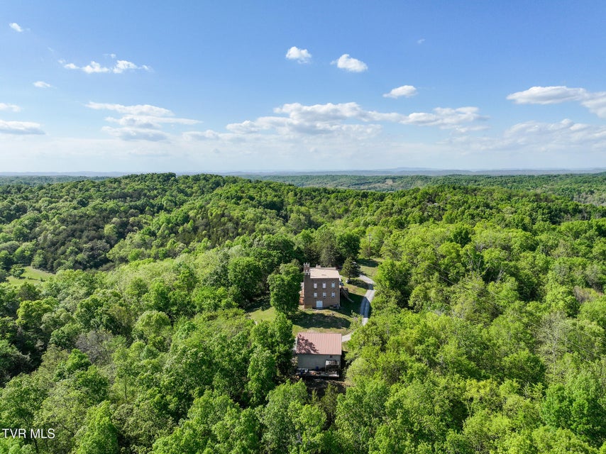 Photo #81: 1005 Jackson Hollow Road