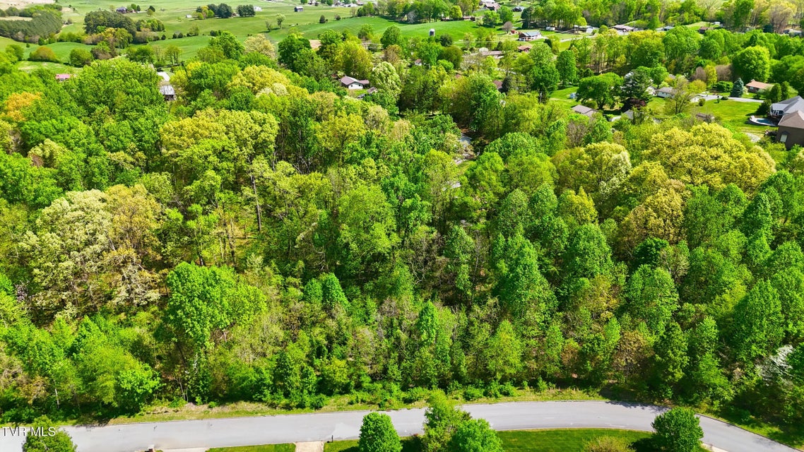 Photo #5: 292 Holland View Drive