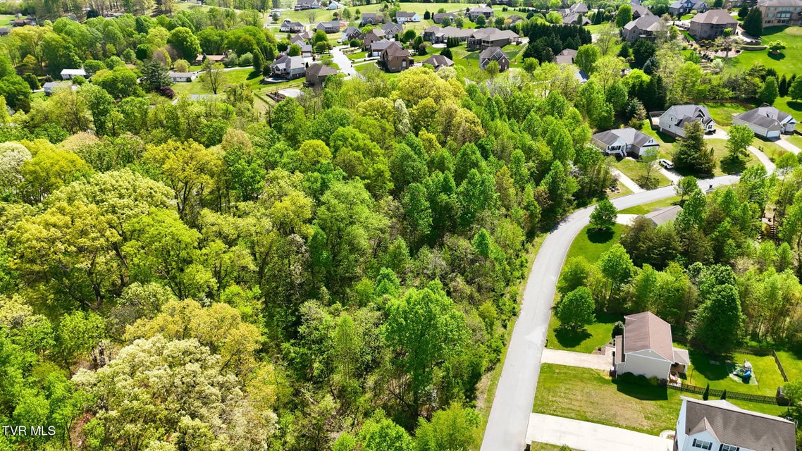 Photo #6: 292 Holland View Drive