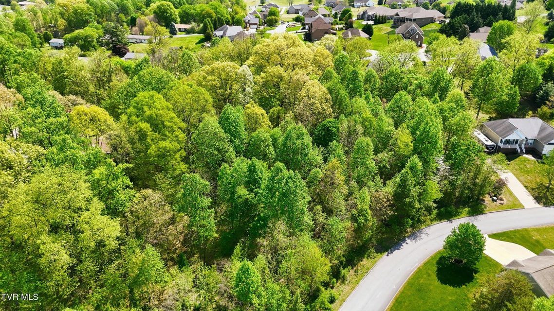 Photo #7: 292 Holland View Drive