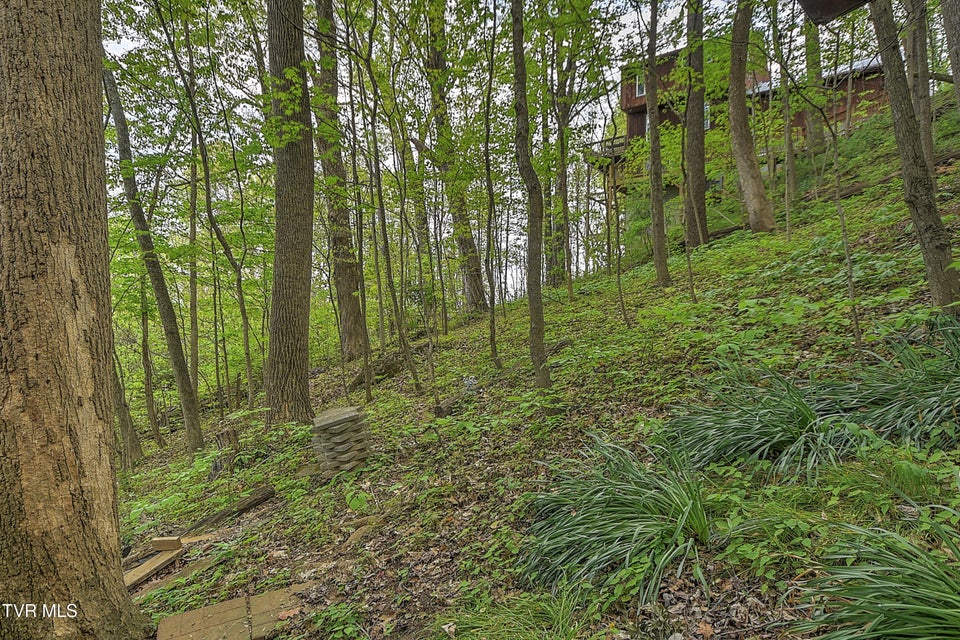 Photo #48: 3411 Linkwood Drive