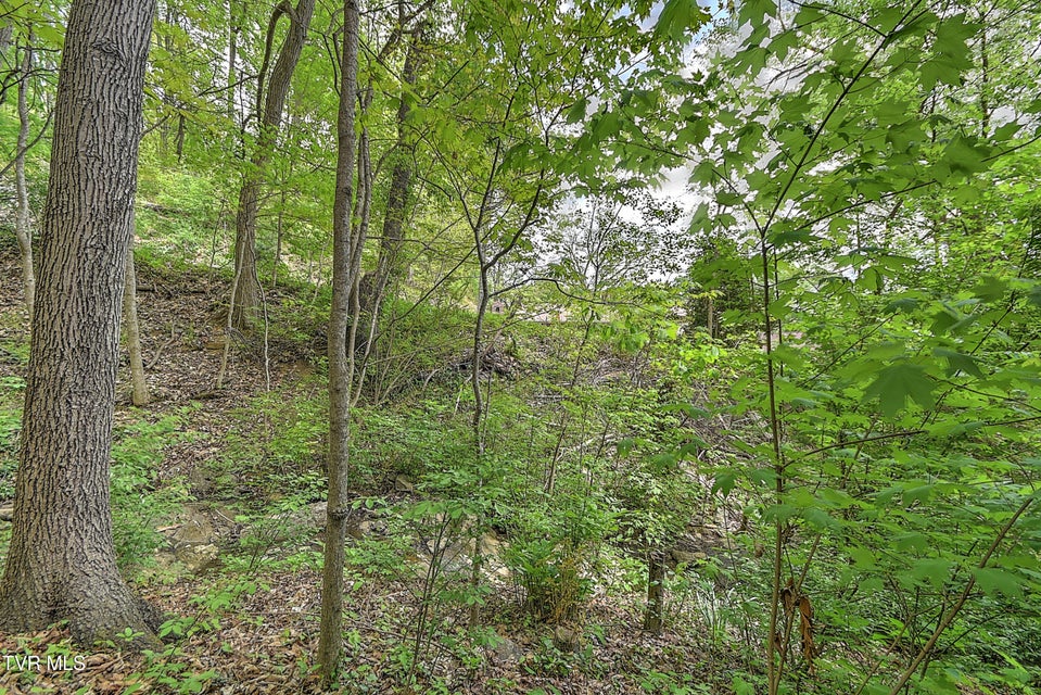 Photo #51: 3411 Linkwood Drive