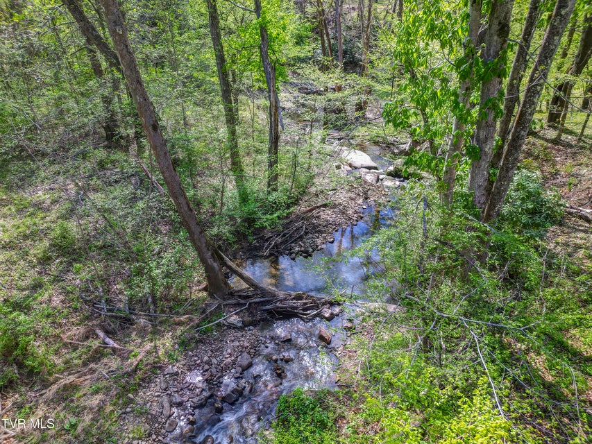 Photo #11: 308 Friendship Road