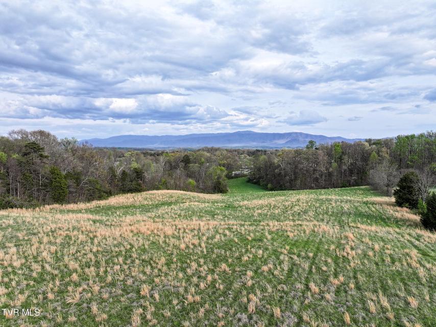 Photo #4: 1625 Lick Hollow Road