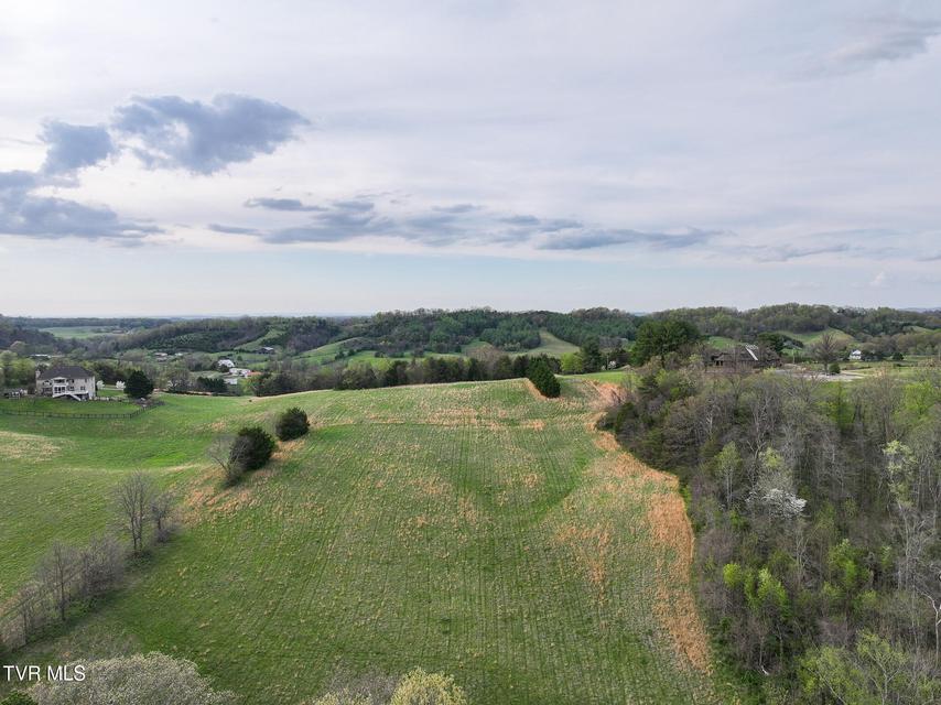 Photo #8: 1625 Lick Hollow Road