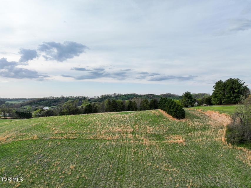 Photo #9: 1625 Lick Hollow Road