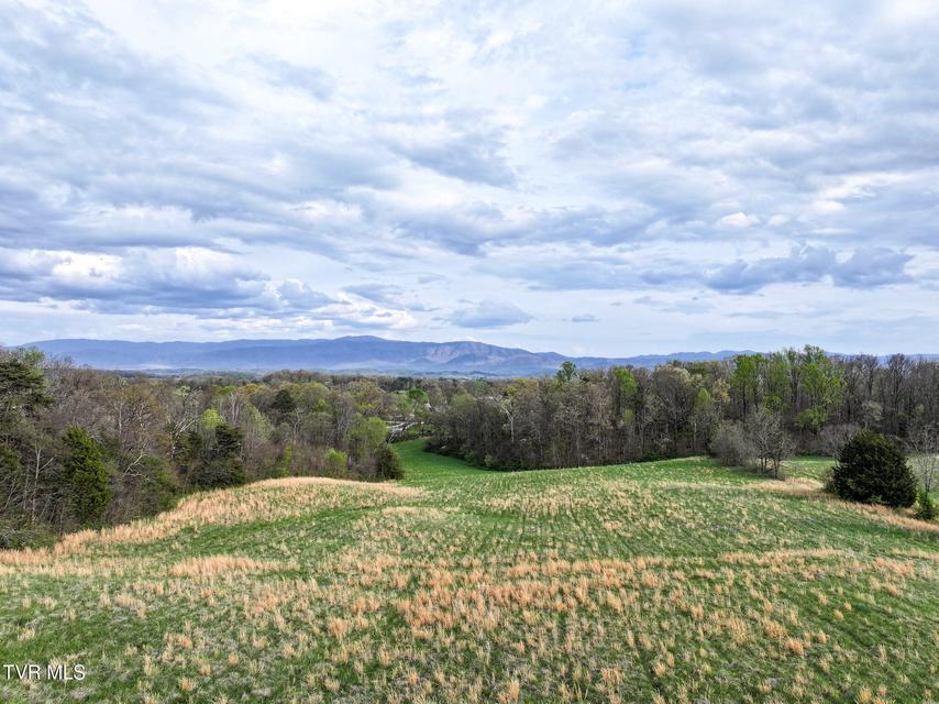 Photo #10: 1625 Lick Hollow Road