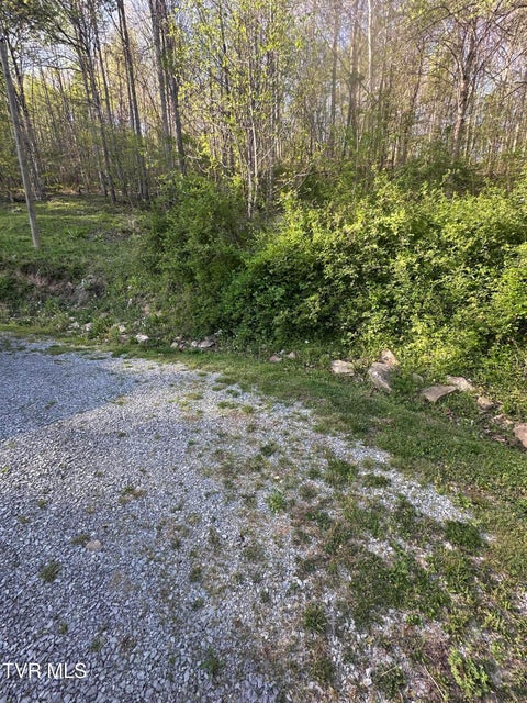 Photo #14: 157 Sulaga Drive