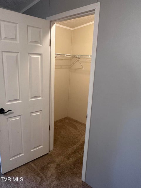 Photo #59: 157 Sulaga Drive