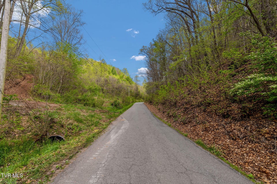 Photo #4: Tbd Chambers Drive