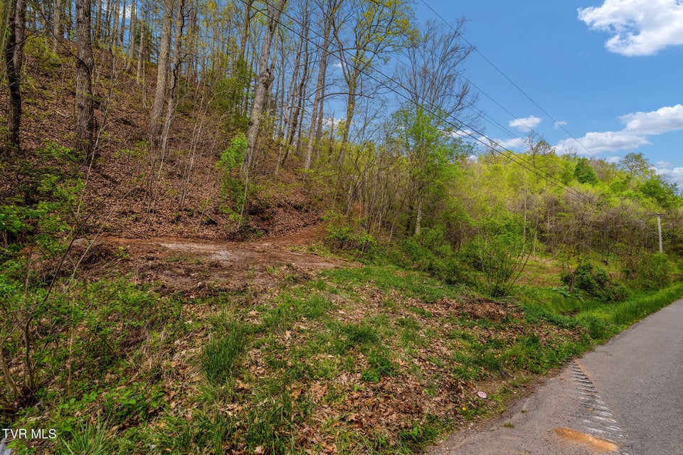 Photo #5: Tbd Chambers Drive