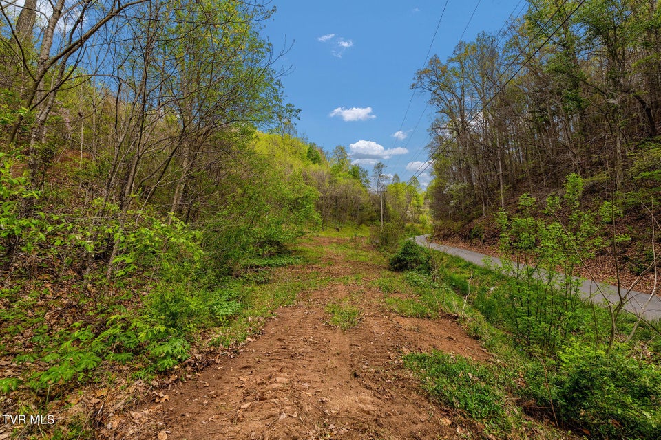 Photo #6: Tbd Chambers Drive