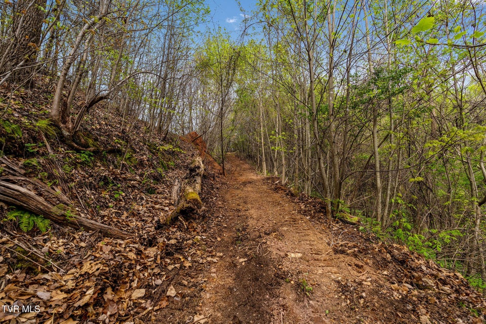 Photo #7: Tbd Chambers Drive