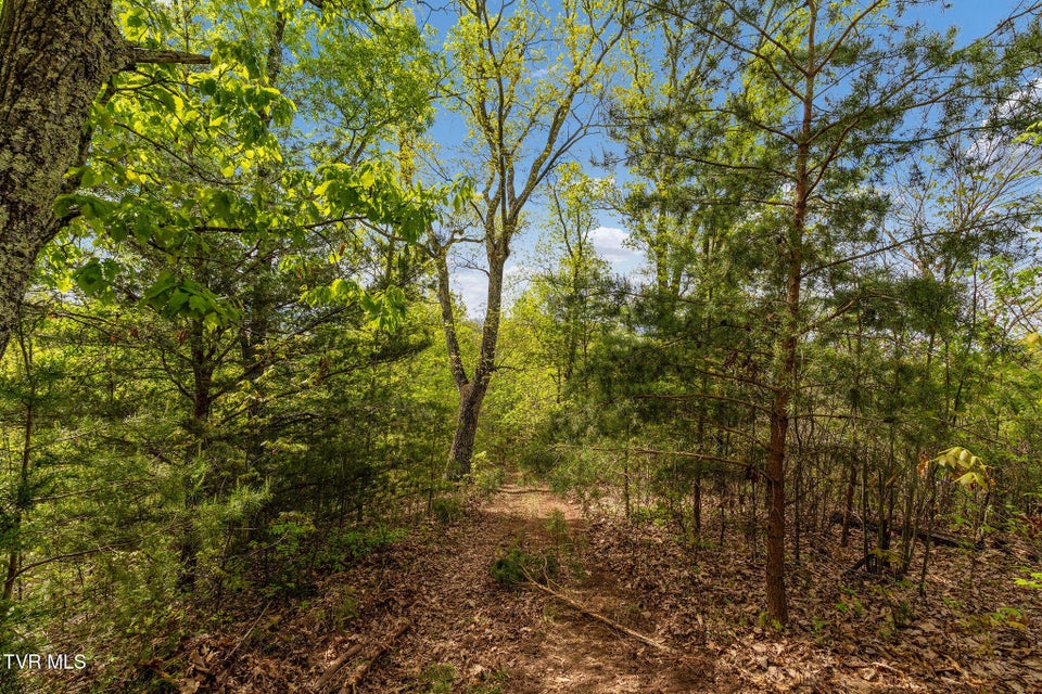 Photo #19: Tbd Chambers Drive