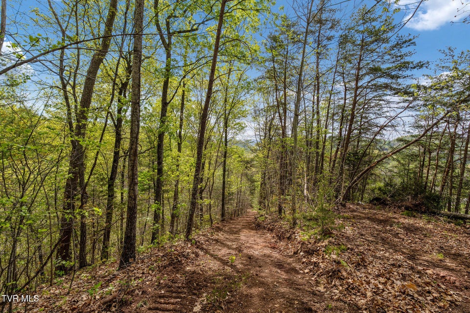 Photo #20: Tbd Chambers Drive