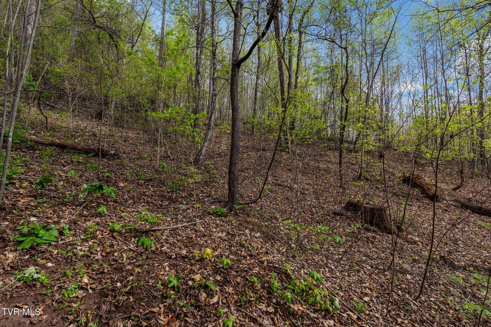 Photo #21: Tbd Chambers Drive