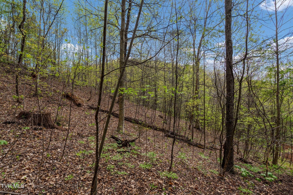 Photo #22: Tbd Chambers Drive