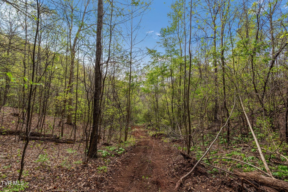 Photo #23: Tbd Chambers Drive