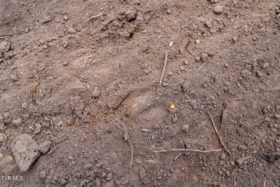 Photo #24: Tbd Chambers Drive