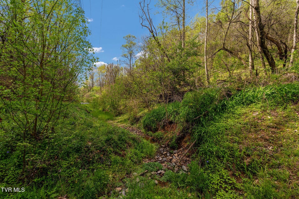 Photo #25: Tbd Chambers Drive