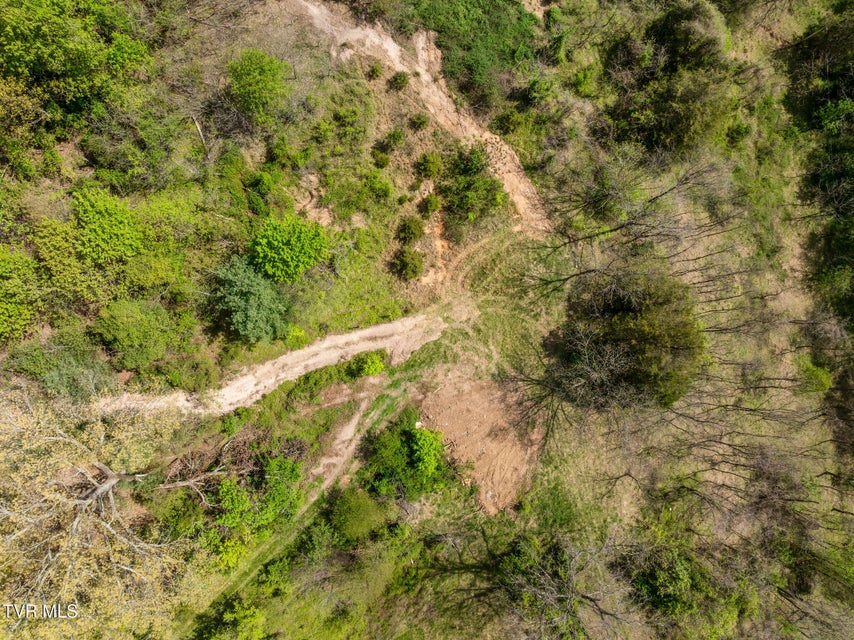 Photo #16: Tbd Lacy Hollow Road