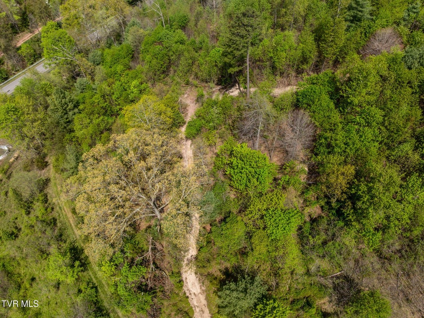 Photo #17: Tbd Lacy Hollow Road