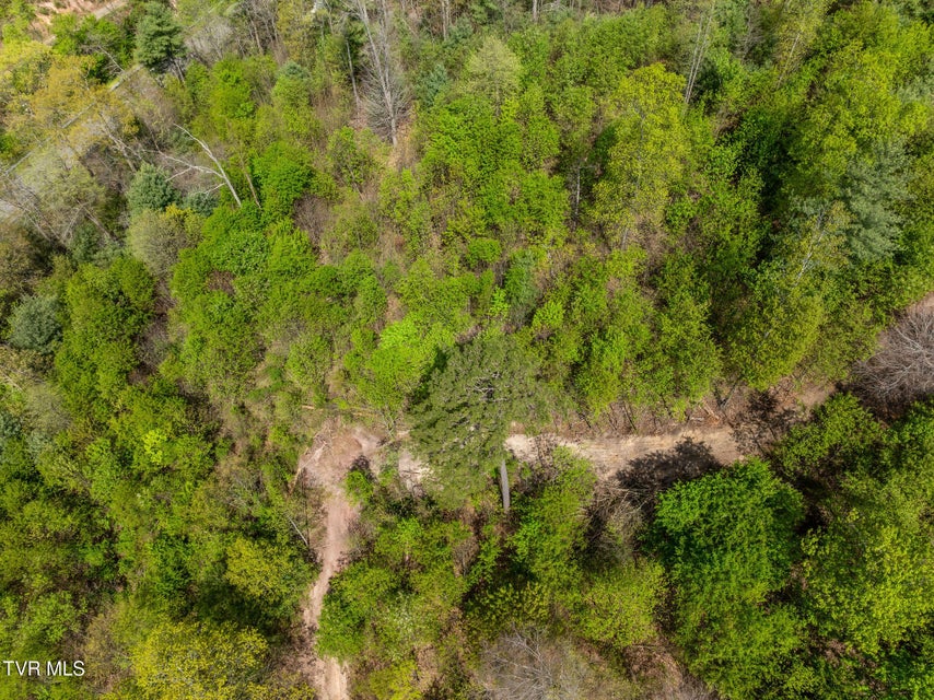 Photo #18: Tbd Lacy Hollow Road