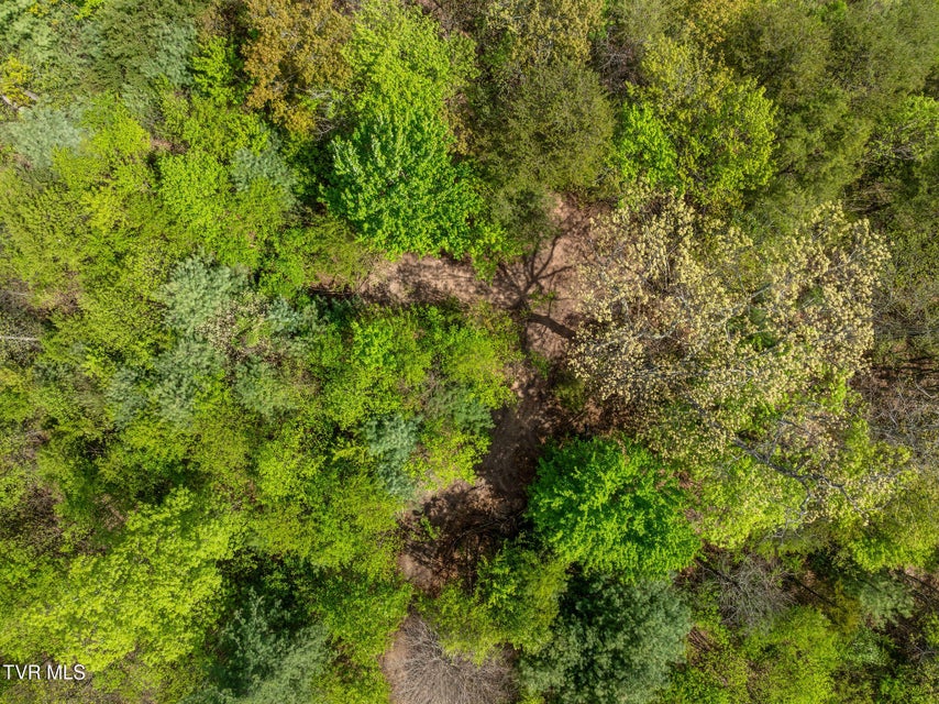 Photo #19: Tbd Lacy Hollow Road