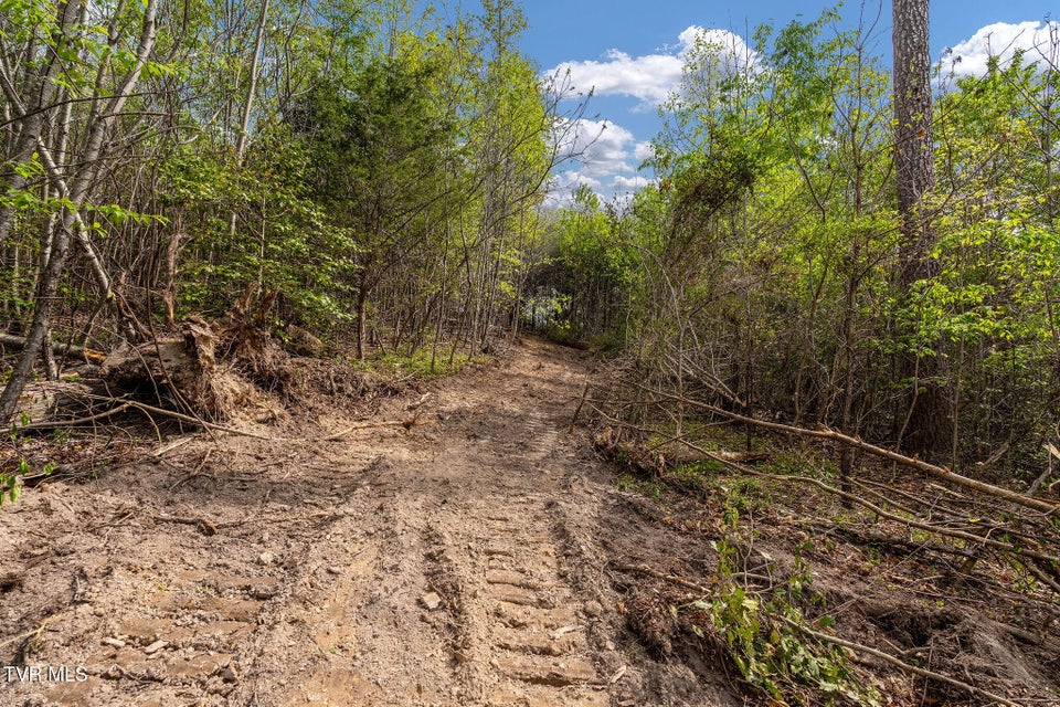 Photo #22: Tbd Lacy Hollow Road