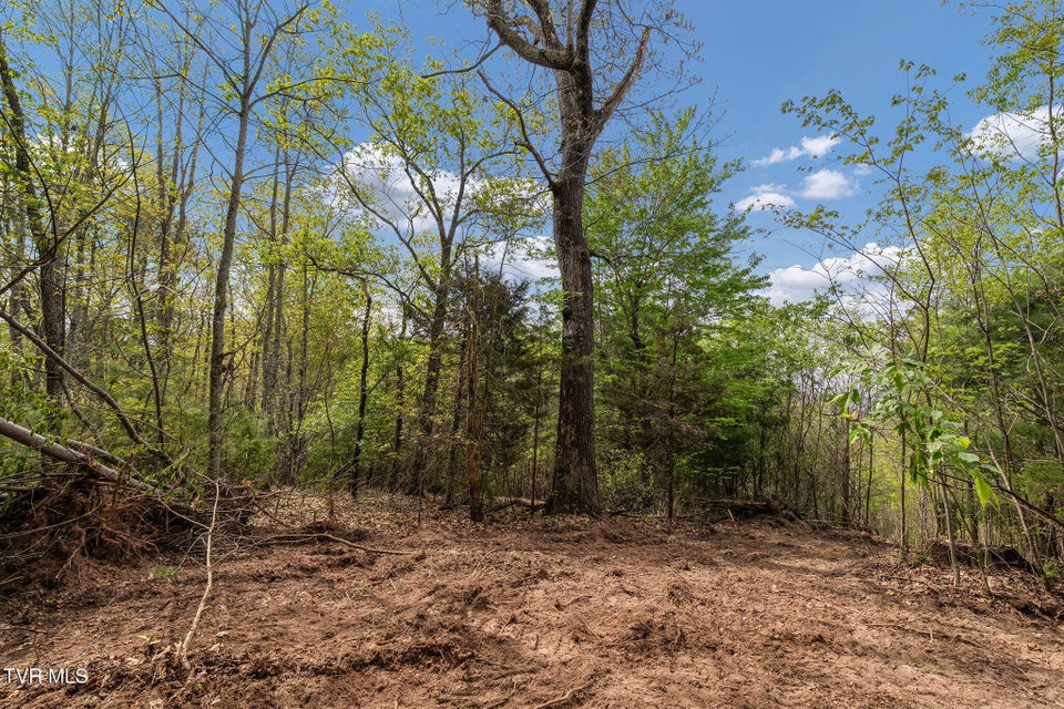 Photo #23: Tbd Lacy Hollow Road