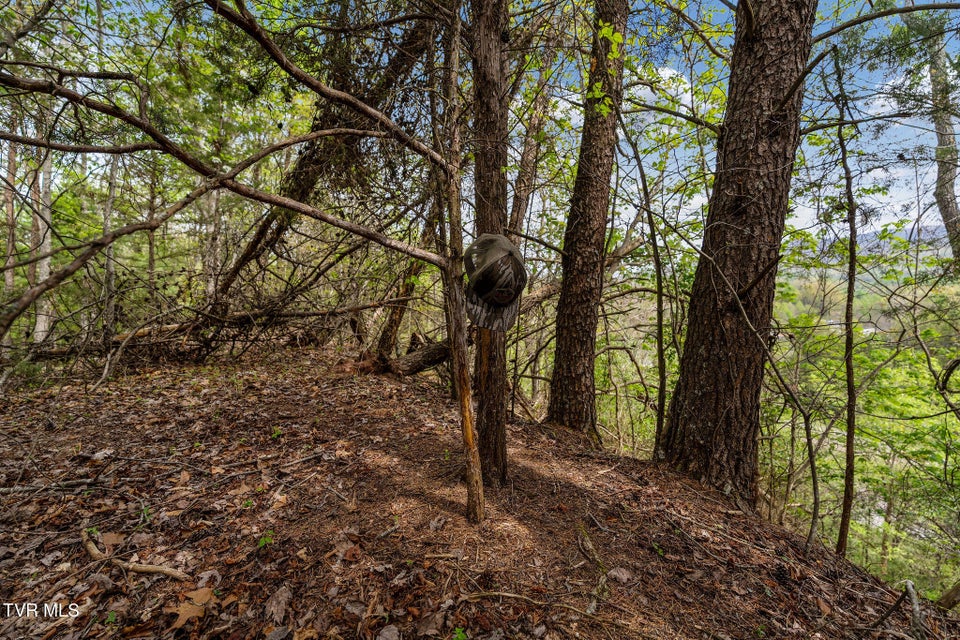 Photo #24: Tbd Lacy Hollow Road