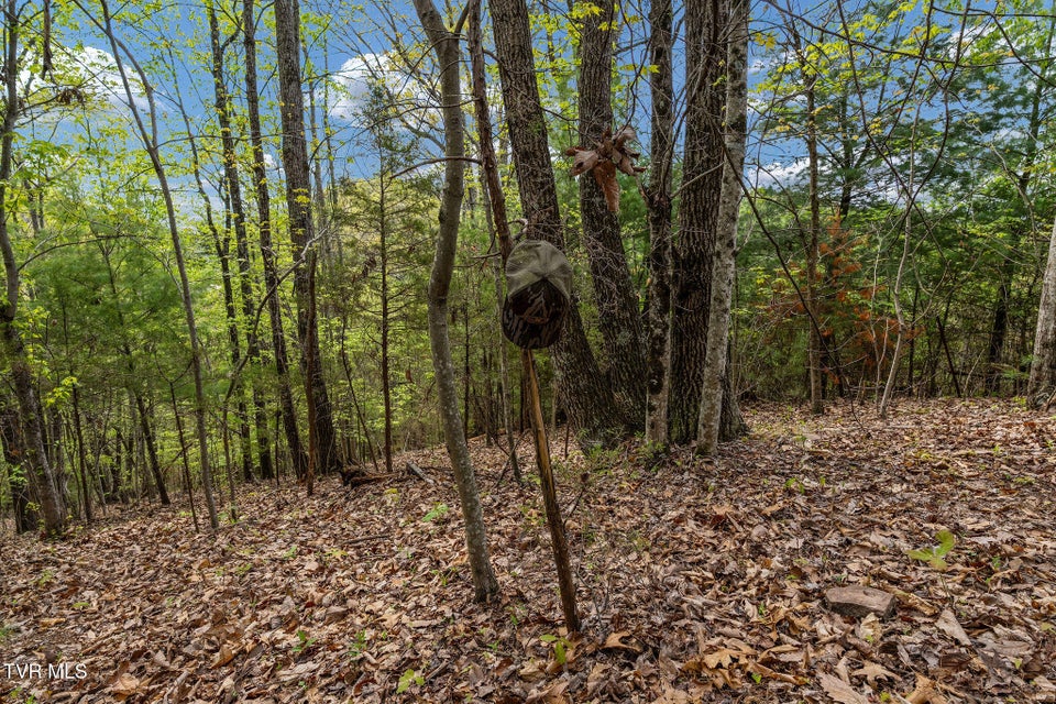 Photo #27: Tbd Lacy Hollow Road