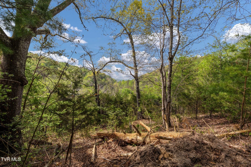 Photo #28: Tbd Lacy Hollow Road