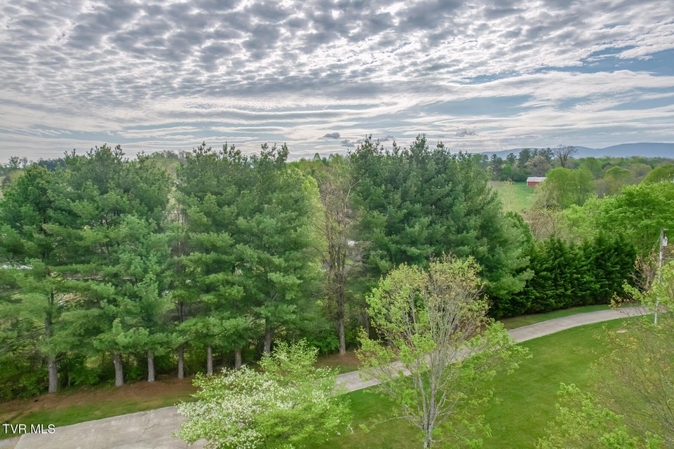 Photo #84: 1237 White Top Road